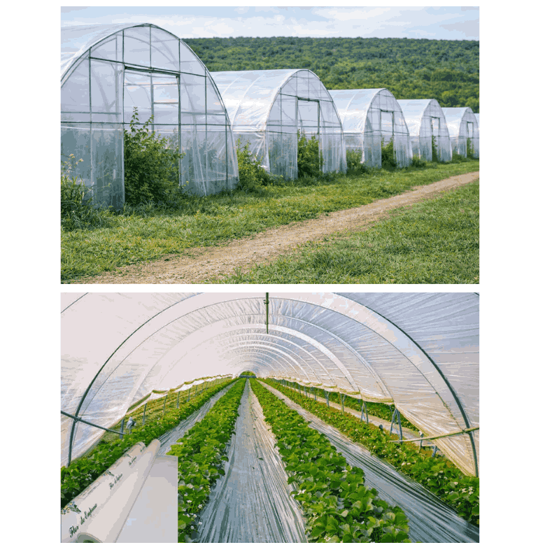 Agrofilm